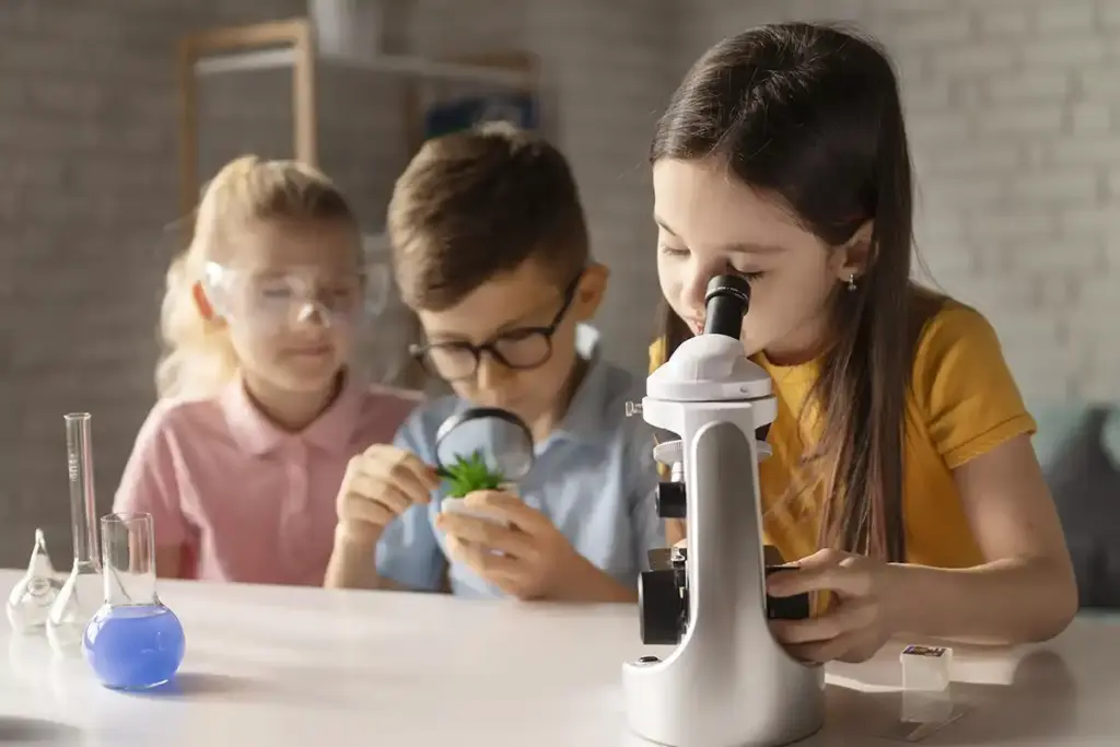 La formación STEAM en las aulas